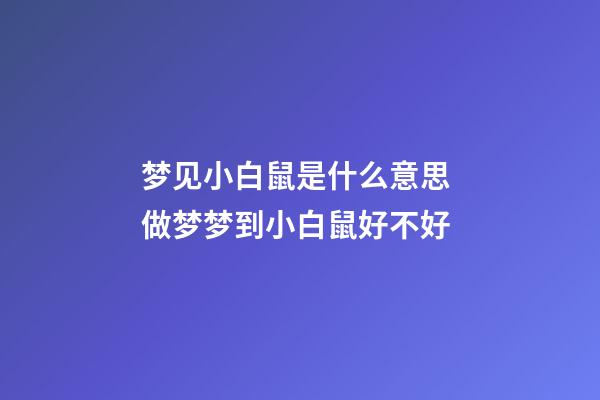 梦见小白鼠是什么意思 做梦梦到小白鼠好不好